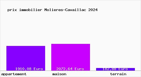 prix immobilier Molieres-Cavaillac