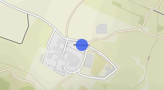 prix immobilier Mont�lier