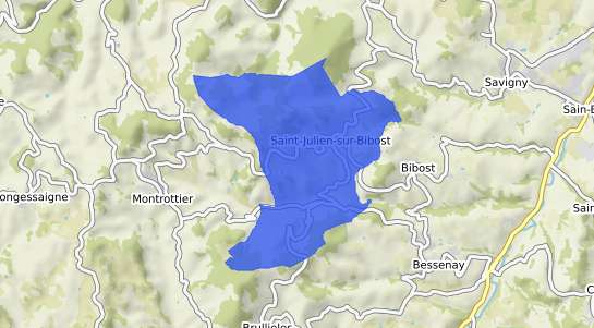 prix immobilier Saint Julien sur Bibost