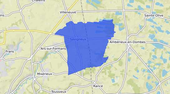 prix immobilier Savigneux