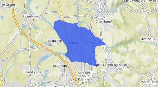 prix immobilier Veauche
