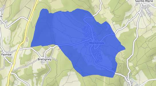 prix immobilier Montenois