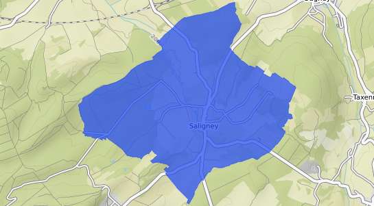 prix immobilier Saligney