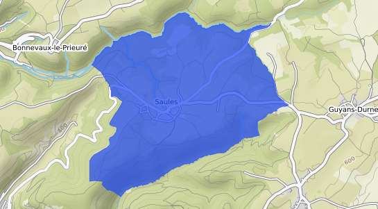 prix immobilier Saules