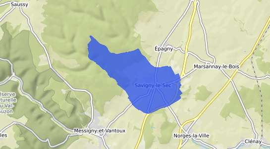prix immobilier Savigny le Sec