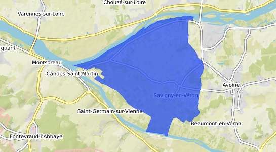 prix immobilier Savigny en V�ron