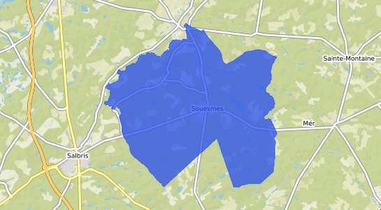 prix immobilier Souesmes