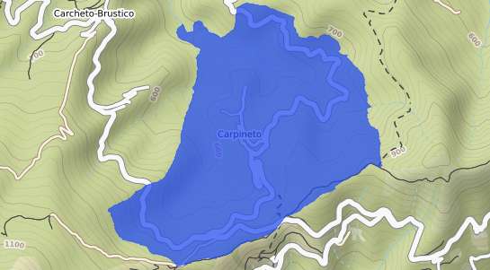 prix immobilier Carpineto