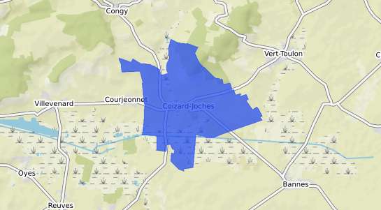 prix immobilier Coizard Joches