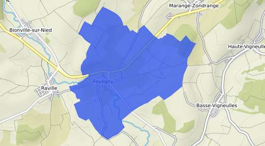 prix immobilier Fouligny