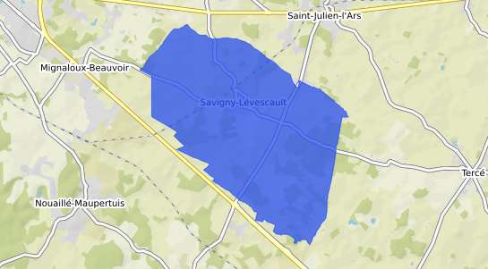prix immobilier Savigny L�vescault