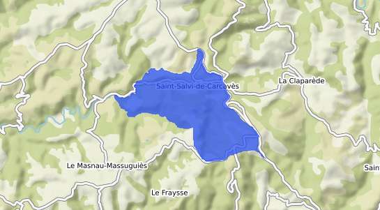 prix immobilier Saint Salvi de Carcav�s
