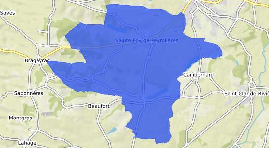 prix immobilier Sainte Foy de Peyroli�res