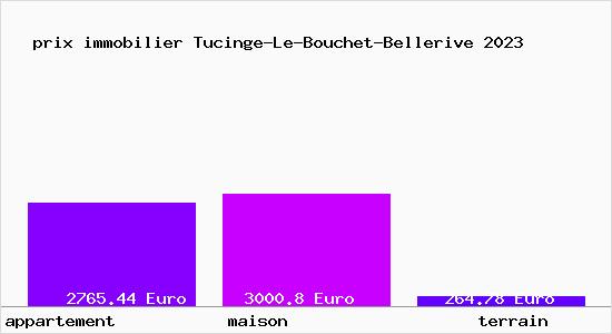 prix immobilier Tucinge-Le-Bouchet-Bellerive