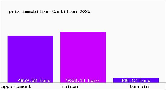 prix immobilier Castillon